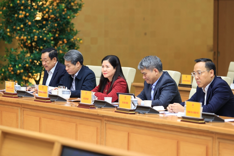 Thủ tướng chủ trì phiên họp thứ nhất Ban Chỉ đạo triển khai Nghị quyết số 79-NQ/TW về phát triển kinh tế nhà nước- Ảnh 3.