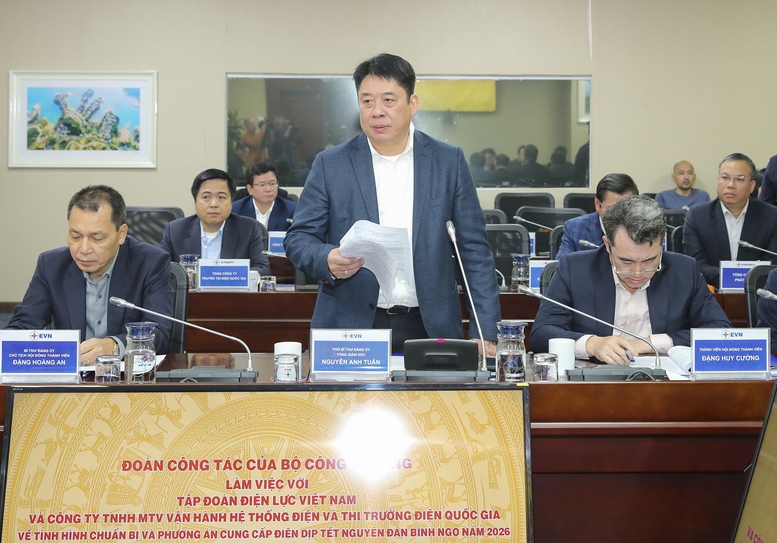 EVN bảo đảm cung ứng điện an toàn, ổn định dịp Tết Bính Ngọ 2026- Ảnh 1.