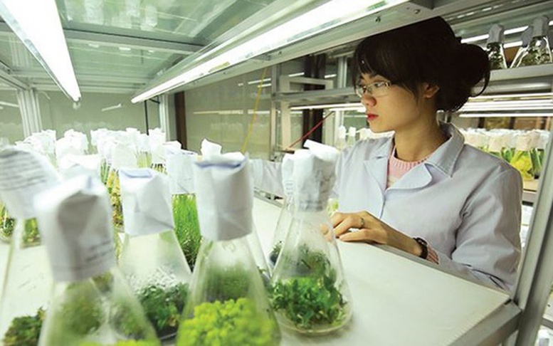 Điều kiện áp dụng phụ cấp độc hại và ưu đãi nghề