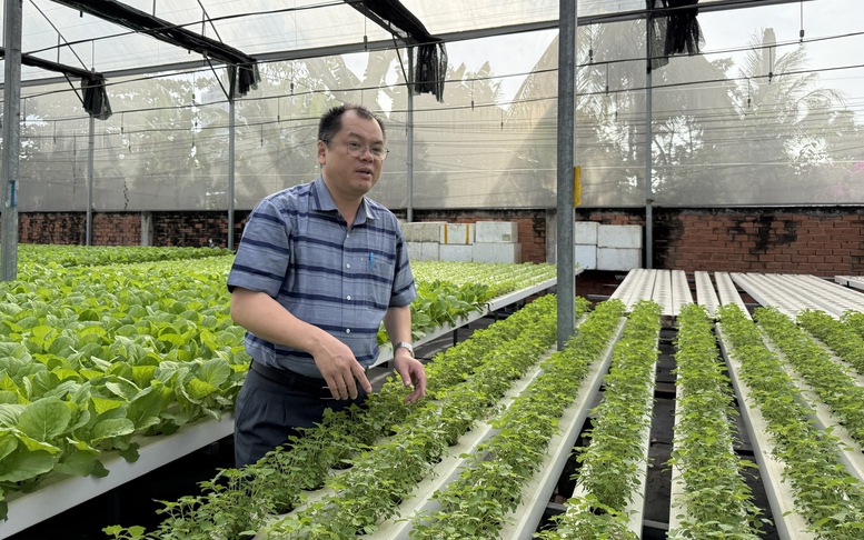 Hiệu quả rõ nét từ phát triển nông nghiệp xanh