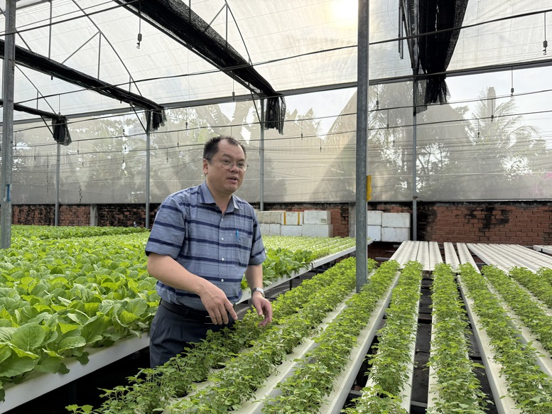 Hiệu quả rõ nét từ phát triển nông nghiệp xanh- Ảnh 1.