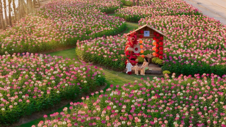Ecopark tràn ngập sắc hoa tại các đại đô thị khắp 3 miền dịp Tết Bính Ngọ 2026- Ảnh 3.