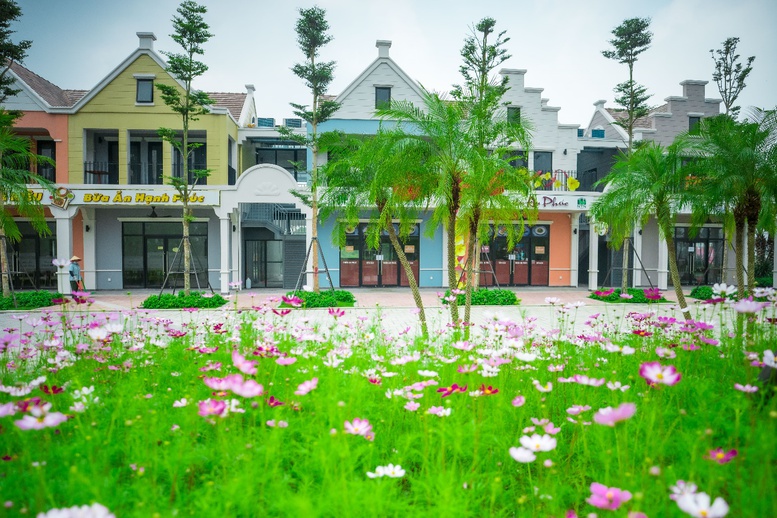 Ecopark tràn ngập sắc hoa tại các đại đô thị khắp 3 miền dịp Tết Bính Ngọ 2026- Ảnh 8.