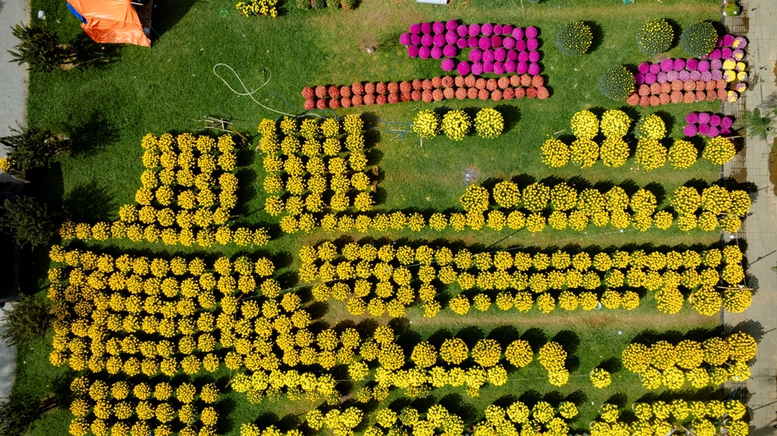 Nhộn nhịp chợ hoa Xuân ở Cố đô Huế- Ảnh 4.