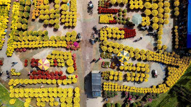 Nhộn nhịp chợ hoa Xuân ở Cố đô Huế- Ảnh 5.