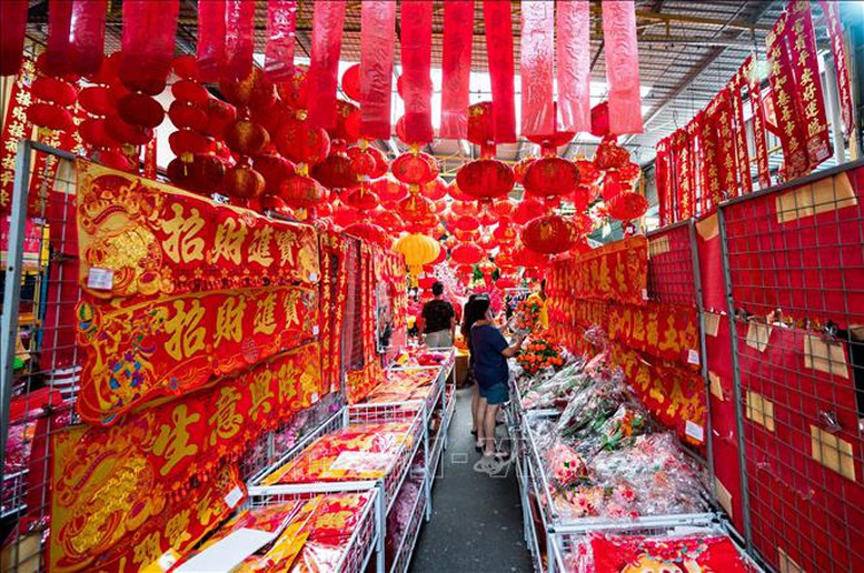 Rộn ràng đón Xuân Bính Ngọ 2026 khắp châu Á- Ảnh 8.