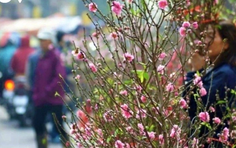 Thời tiết cả nước từ mùng 3 đến mùng 6 Tết Bính Ngọ