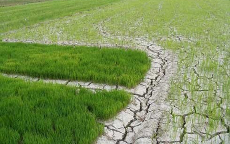 Chủ động ứng phó xâm nhập mặn ở ĐBSCL và hạn hán, cháy rừng ở khu vực Nam Trung Bộ và Đông Nam Bộ