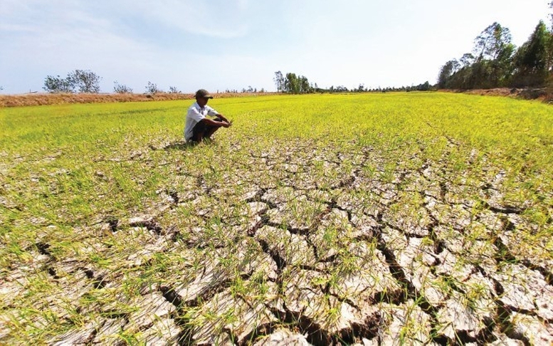 Chỉ đạo, điều hành của Chính phủ, Thủ tướng Chính phủ ngày 20/2/2026