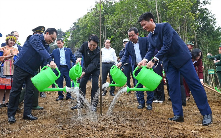 Chủ tịch nước dự lễ phát động Tết trồng cây năm 2026