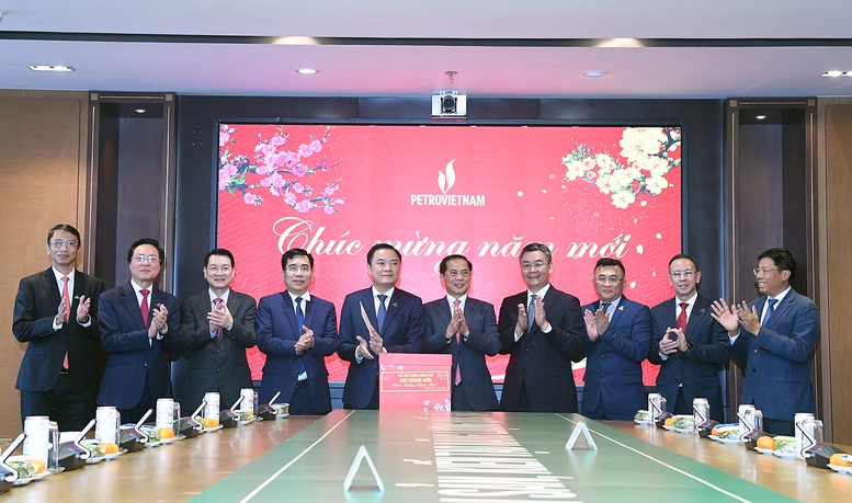 Phó Thủ tướng Bùi Thanh Sơn thăm, làm việc với 4 Tập đoàn về công nghiệp, năng lượng- Ảnh 1.