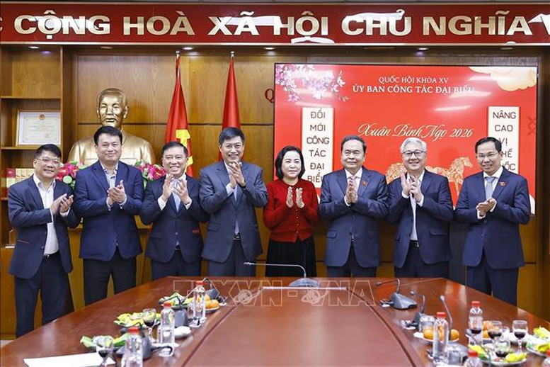 Chủ tịch Quốc hội Trần Thanh Mẫn giao nhiệm vụ cho các ủy ban của Quốc hội- Ảnh 4.