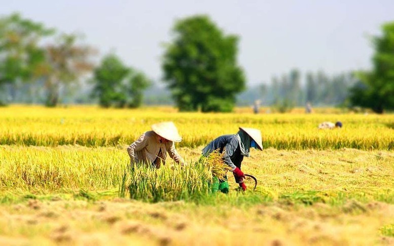 Nâng cao nhận thức về đào tạo nghề lao động nông thôn đối với phát triển kinh tế - xã hội