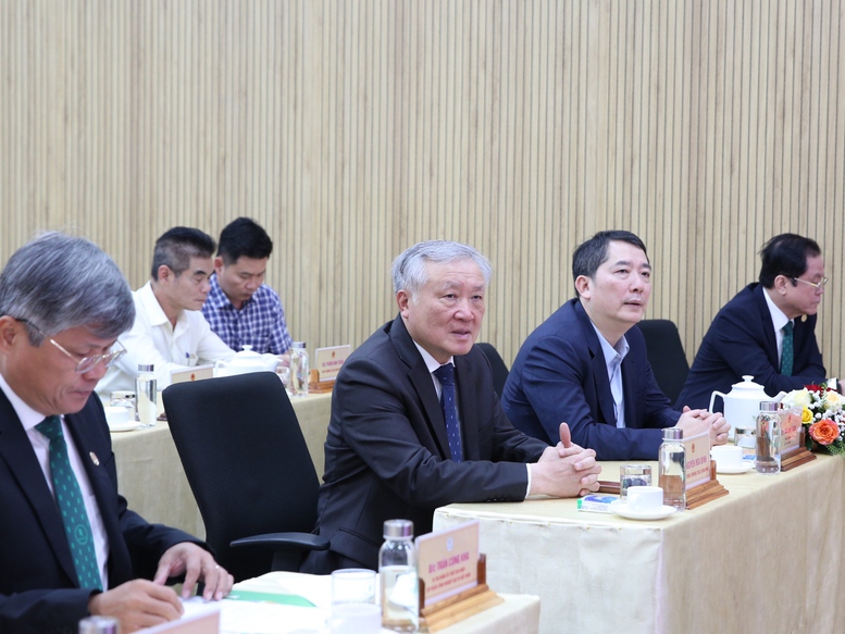 Tập đoàn Công nghiệp Cao su Việt Nam cần chủ động xây dựng các kịch bản sản xuất-kinh doanh phù hợp với diễn biến thị trường quốc tế- Ảnh 2. Tập đoàn Công nghiệp Cao su Việt Nam cần chủ động xây dựng các kịch bản sản xuất-kinh doanh phù hợp với diễn biến thị trường quốc tế- Ảnh 2.