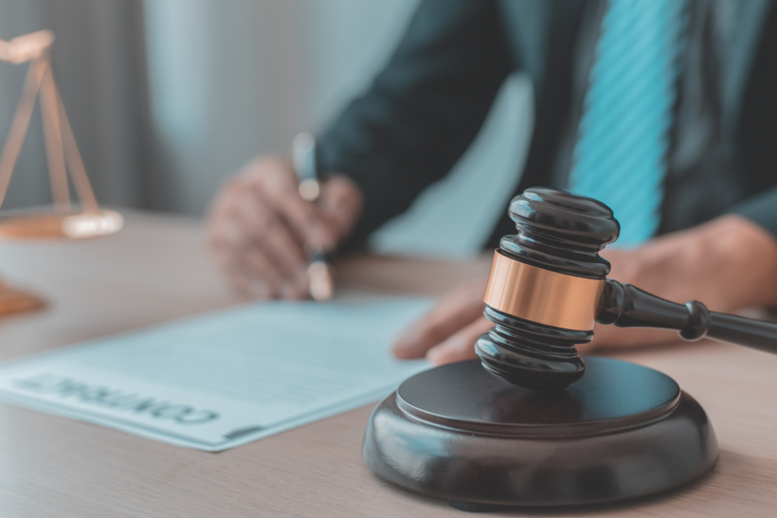 Nâng cao năng lực đội ngũ pháp chế, hướng tới hình thành chế định luật sư công- Ảnh 1.