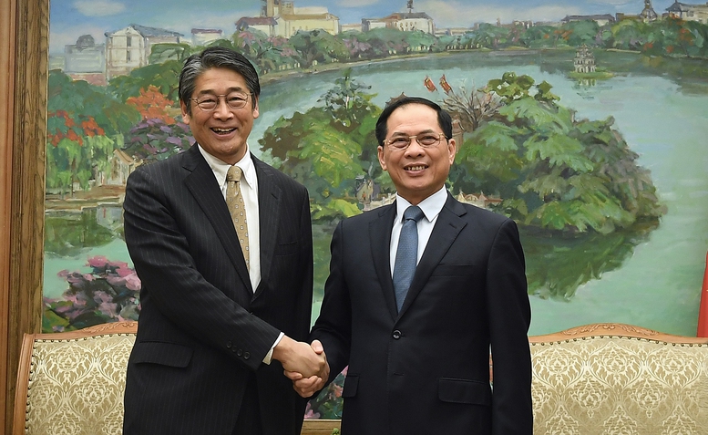 Phó Thủ tướng Bùi Thanh Sơn tiếp Đại sứ Nhật Bản Ito Naoki- Ảnh 1.