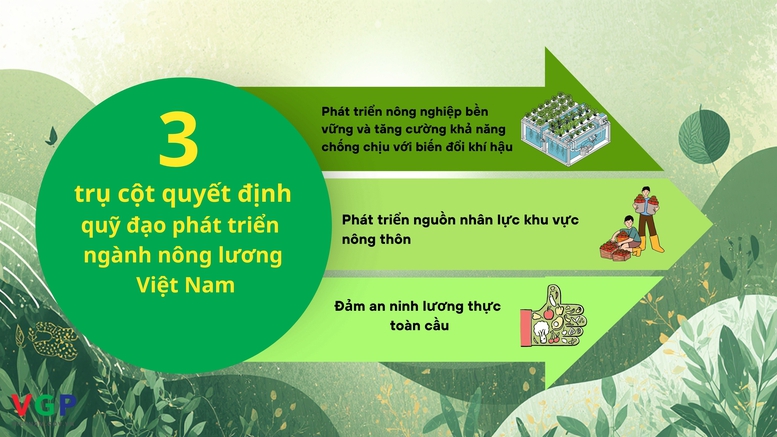 FAO: Việt Nam đang làm nông nghiệp theo cách hoàn toàn mới- Ảnh 3.