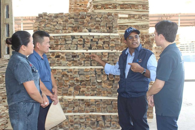 FAO: Việt Nam đang làm nông nghiệp theo cách hoàn toàn mới- Ảnh 2.