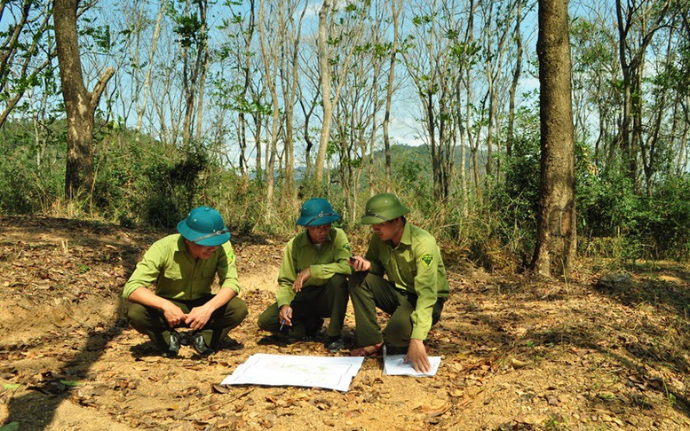 Sẽ có quy định mới về tổ chức, nhiệm vụ của Kiểm lâm