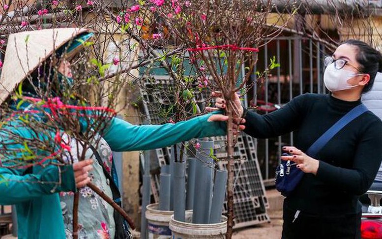 Dịp Tết Nguyên đán: Thời tiết thuận lợi trên cả nước