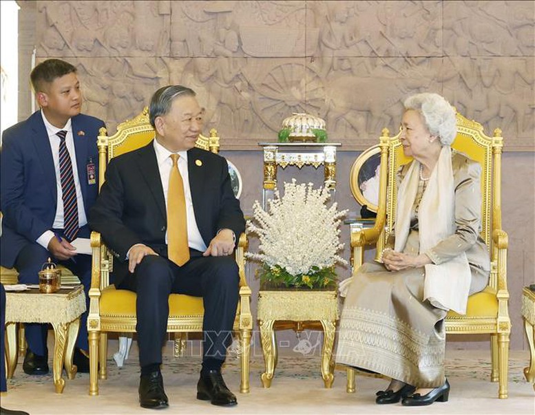 Tổng Bí thư Tô Lâm hội kiến Samdech Techo Hun Sen- Ảnh 4.