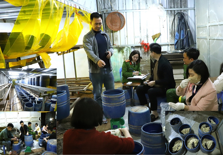 Khởi tố, bắt tạm giam đối tượng sản xuất gần 2,8 tấn giá đỗ bằng chất cấm- Ảnh 1.