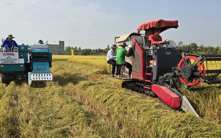 Công nghệ mới cho lúa chất lượng cao, phát thải thấp: Bước tiến cho 'Gạo Việt xanh'