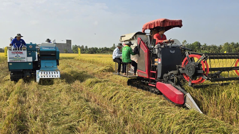 Công nghệ mới cho lúa chất lượng cao, phát thải thấp: Bước tiến cho 'Gạo Việt xanh'- Ảnh 1.