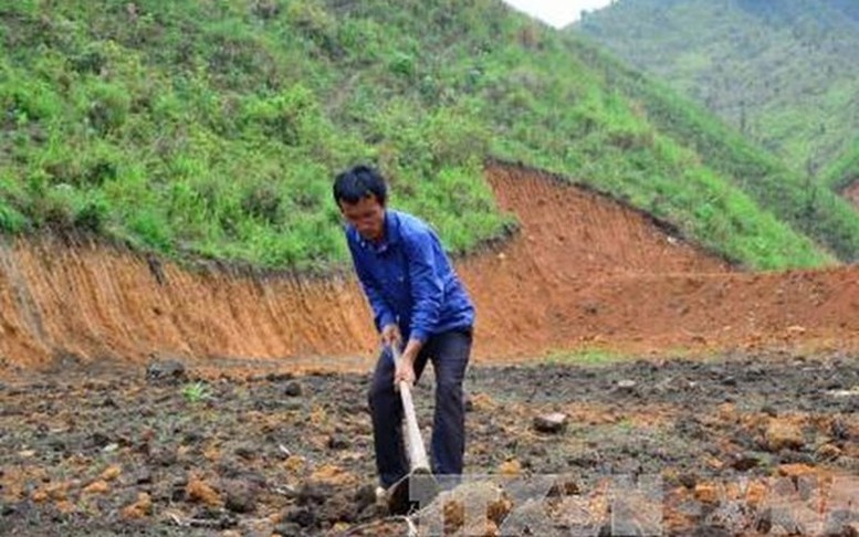 Đất nông nghiệp vượt hạn mức có phải chuyển sang thuê đất?