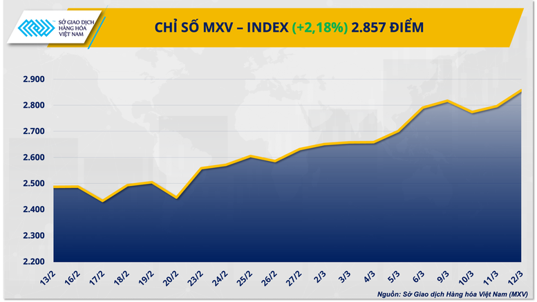 Giá dầu thế giới vượt mốc 100 USD/thùng- Ảnh 1.