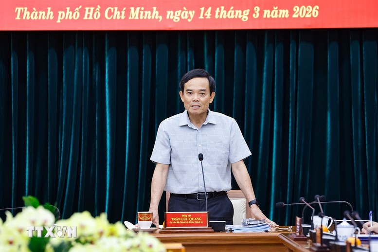 Công bố quyết định kiểm tra, giám sát đối với Ban Thường vụ Thành ủy TPHCM- Ảnh 3.