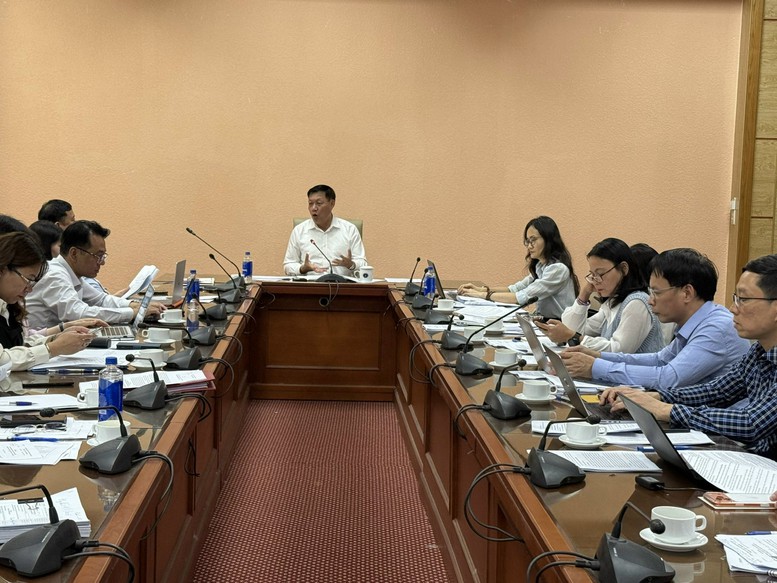 Bộ Y tế đề xuất ngân sách hỗ trợ 2 triệu đồng/người khi sinh con thứ 2- Ảnh 1.