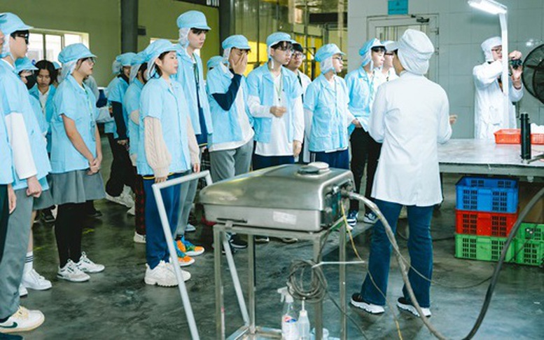 Căn cứ xét chuyển vị trí việc làm đối với viên chức