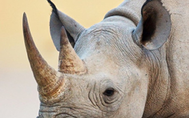 Việt Nam thực hiện nghiêm túc các cam kết quốc tế về bảo vệ động vật hoang dã