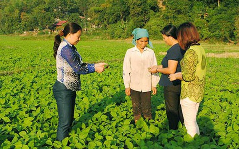 Công bố 96 nông dân Việt Nam xuất sắc 40 năm Đổi mới- năm 2026- Ảnh 10.