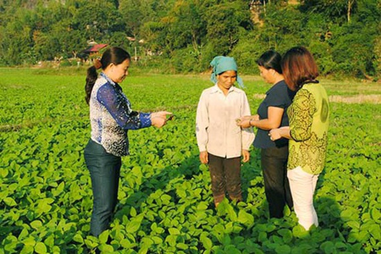 "Người dẫn đường" quan trọng của nông dân trong kỷ nguyên mới- Ảnh 1.