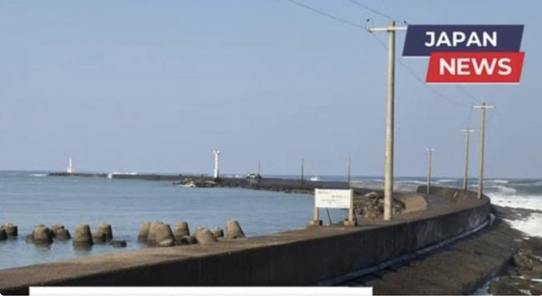 Thông tin về 8 lao động Việt Nam gặp nạn do sóng lớn tại Nhật Bản- Ảnh 1.