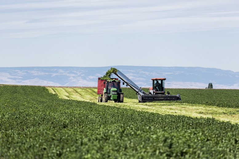 Phát triển kinh tế xanh, bền vững-Hành trình Amway theo đuổi- Ảnh 1.