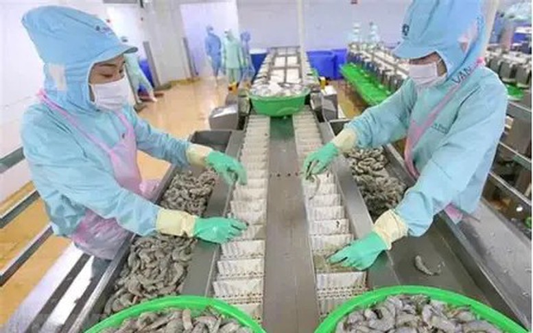 Xuất khẩu thủy sản: Mở rộng thị trường, thích ứng biến động địa chính trị