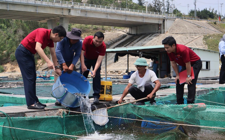 Agribank – Hành trình bền bỉ phục vụ phát triển 'tam nông'