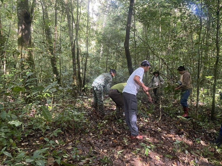 Vật liệu gỗ xây dựng: Góc nhìn từ thị trường nguyên liệu đến chiến lược lâm nghiệp- Ảnh 1.