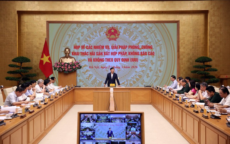 Tập trung cao độ khắc phục các khuyến nghị của Đoàn thanh tra IUU của EC- Ảnh 2.