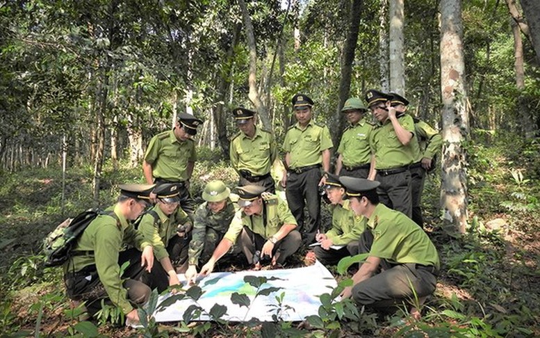 Không lập tổ chức Kiểm lâm độc lập ở cấp xã