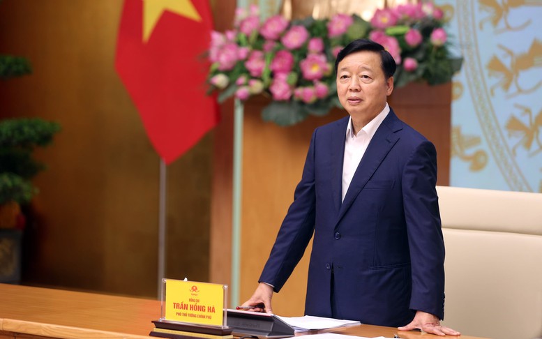 Tập trung cao độ khắc phục các khuyến nghị của Đoàn thanh tra IUU của EC- Ảnh 1.