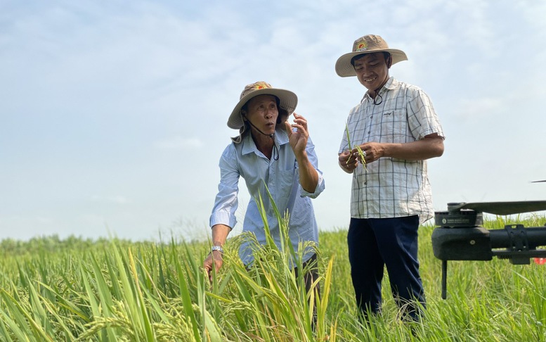 Bộ Nông nghiệp và Môi trường xây dựng kịch bản sản xuất trước tình hình xung đột Trung Đông