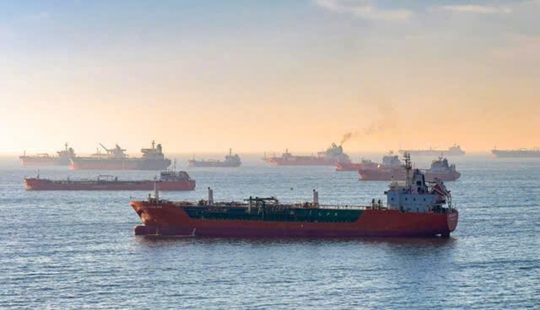Triển khai các giải pháp đối với 19 tàu Việt Nam tại Trung Đông- Ảnh 1.