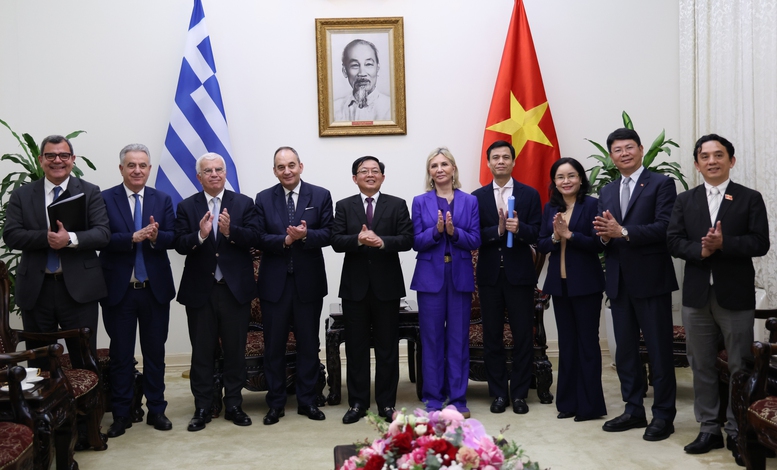 Phó Thủ tướng Chính phủ Hồ Quốc Dũng tiếp Phó Chủ tịch thứ nhất Quốc hội Hy Lạp- Ảnh 5.