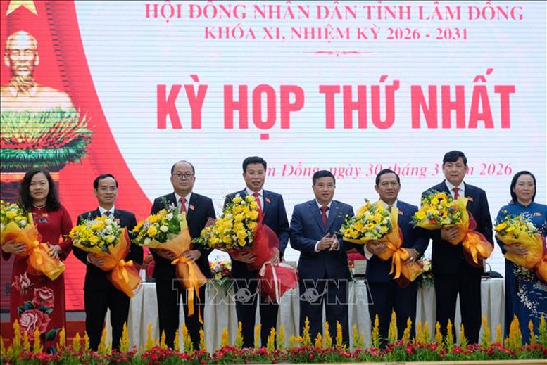 Quảng Ngãi, Lâm Đồng, Gia Lai kiện toàn các chức danh chủ chốt