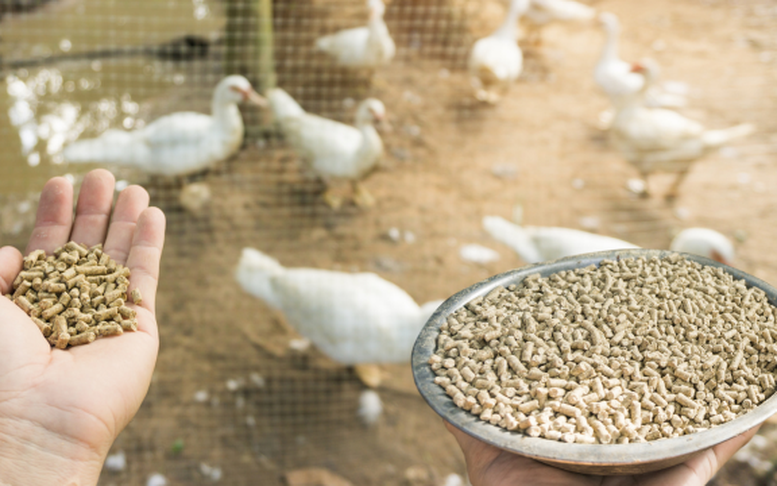 Đối tượng không chịu thuế giá trị gia tăng