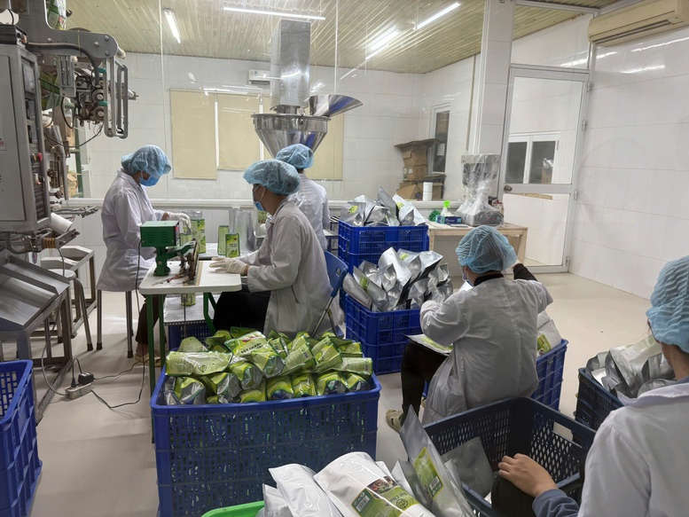 Xuất khẩu nông lâm thủy sản: Nhiều ngành hàng tăng tốc, mở rộng thị phần- Ảnh 1.